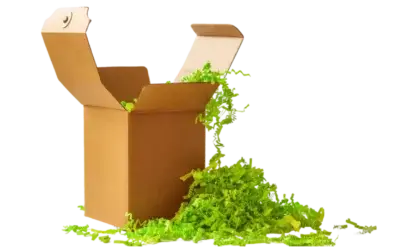 Mudanzas ecológicas